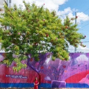DeVries Global for P&G/Aussie’s Purple Lining Street Art Activation