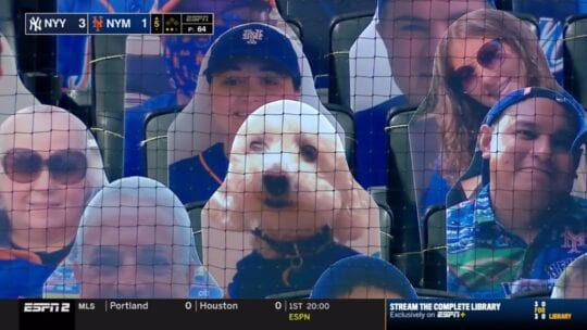 Dog fan cutout at Mets game