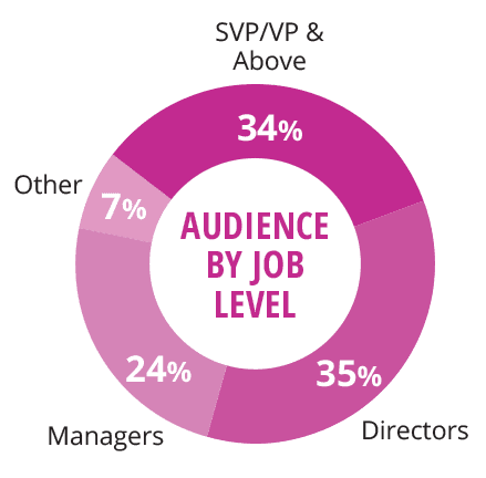 Audience by Job Level