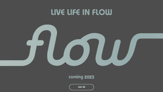 Adam Neumann, former CEO of WeWork, secured millions in funding for new startup called Flow.