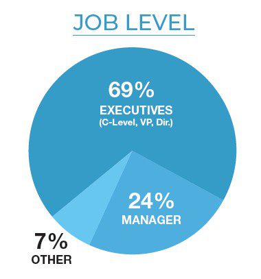 Audience by Job Level