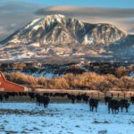 Winter Ranching Scene in Western Colorado